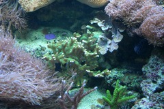 Killikus&reg; Fotographie